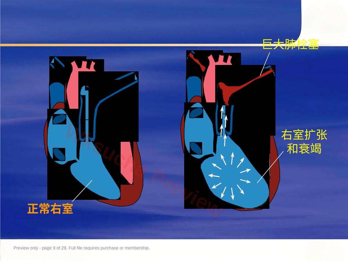 预览第 9 页