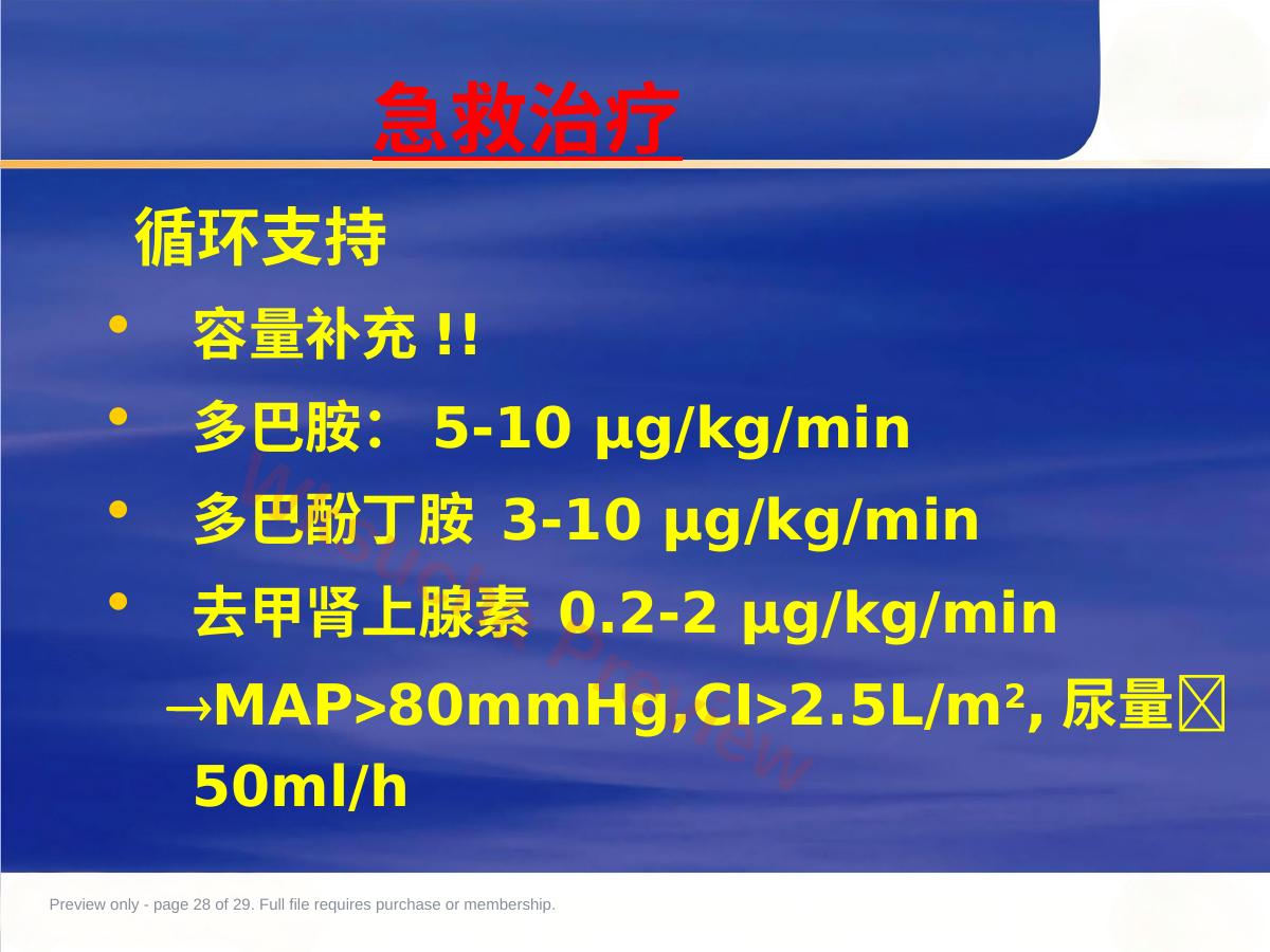 预览第 28 页
