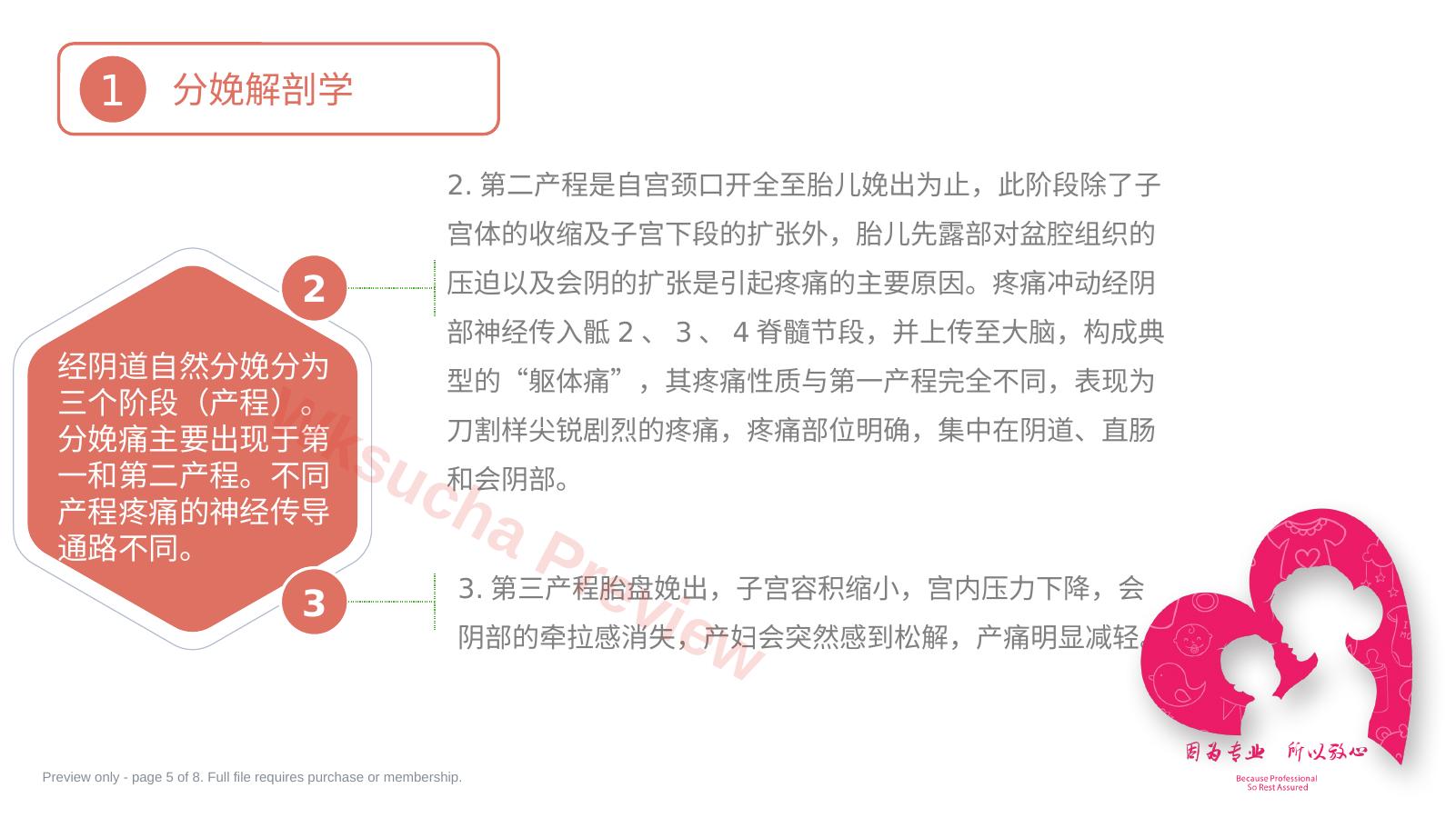 预览第 5 页