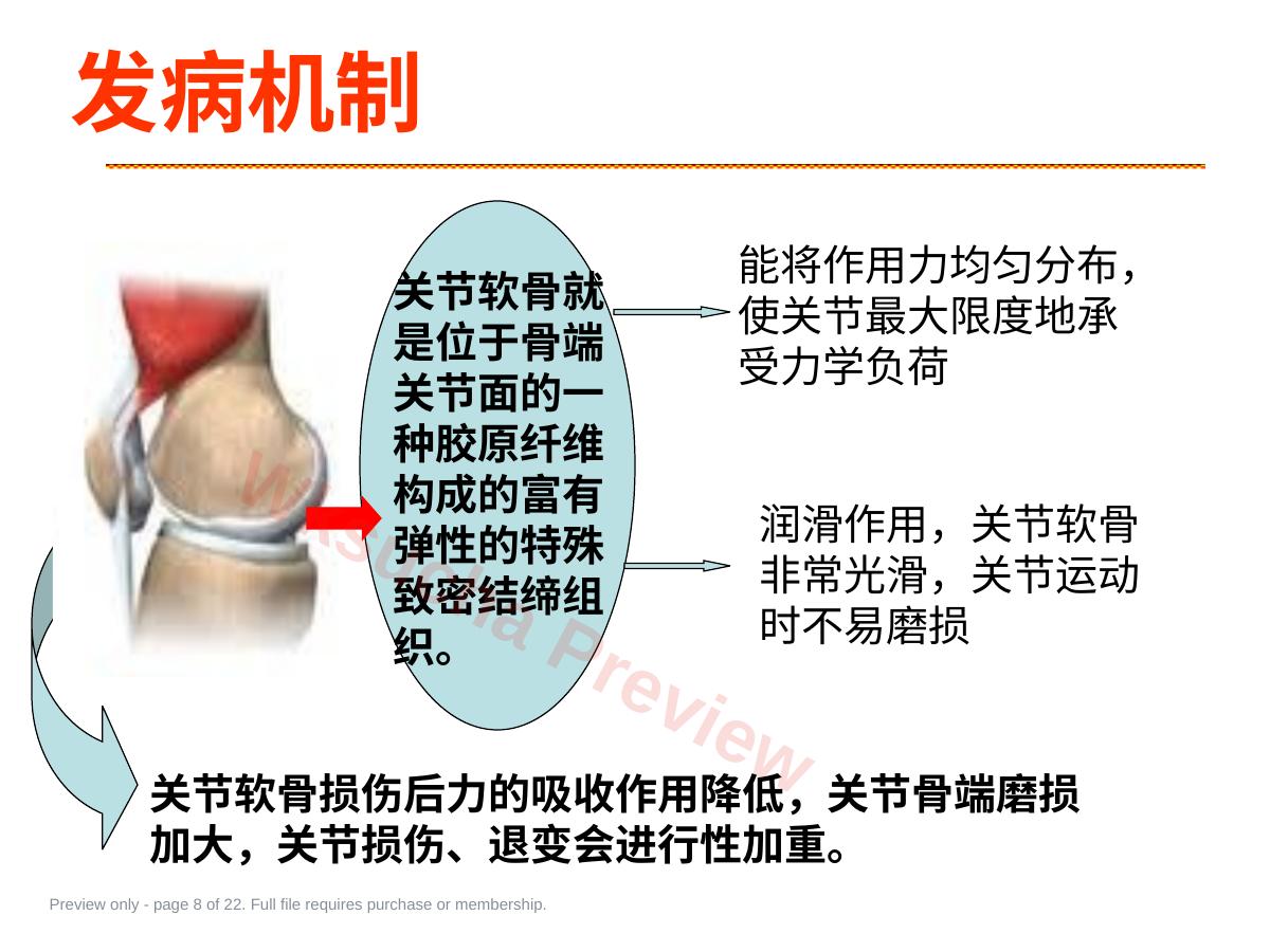 预览第 8 页