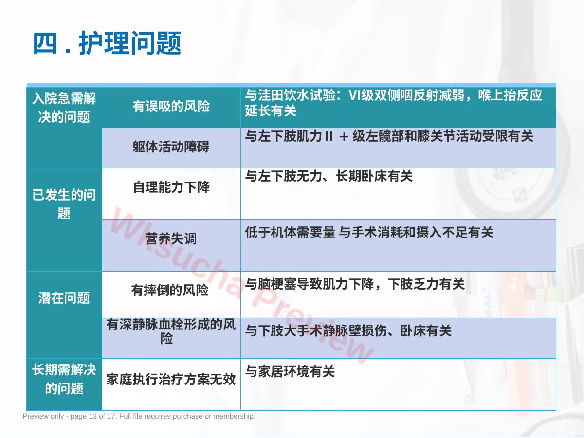 预览第 13 页
