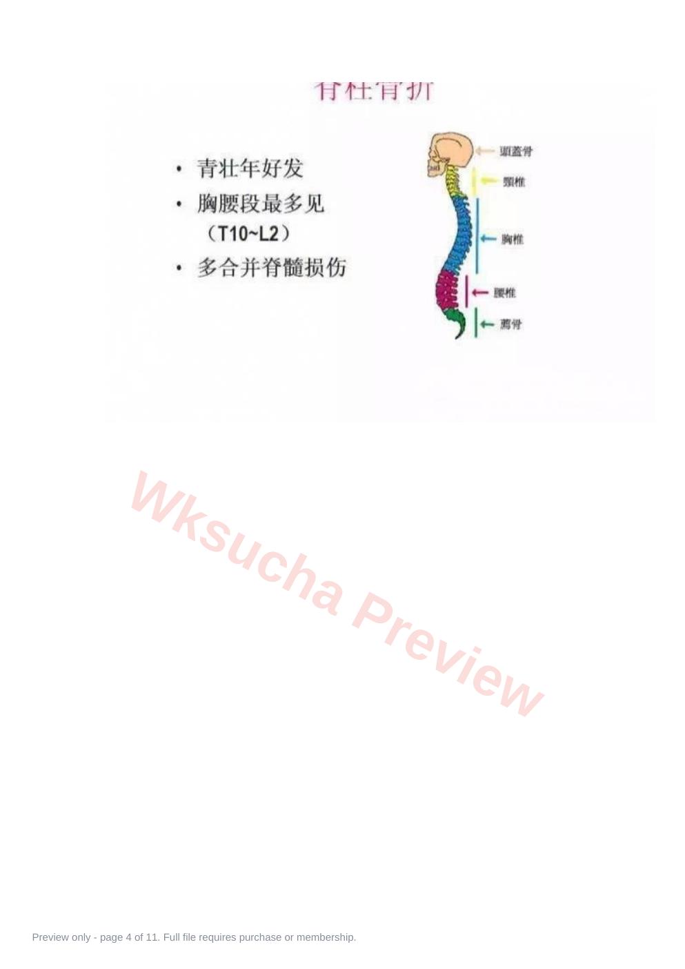 预览第 4 页