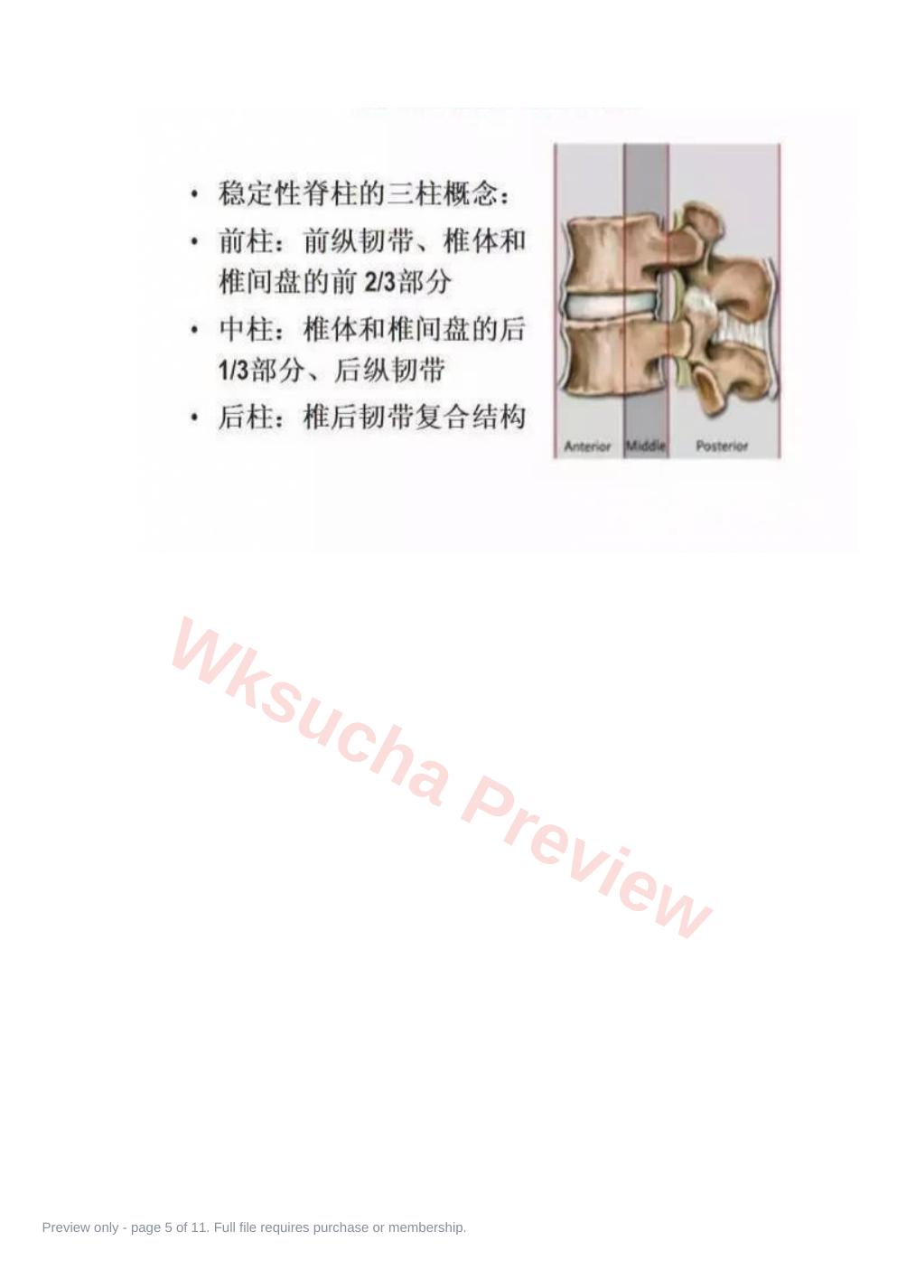 预览第 5 页