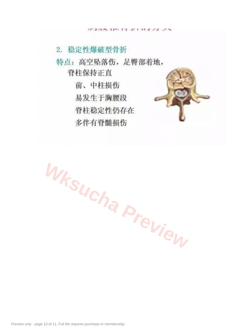 预览第 10 页