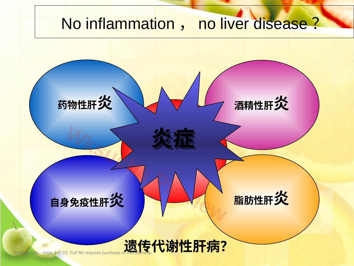 预览第 3 页