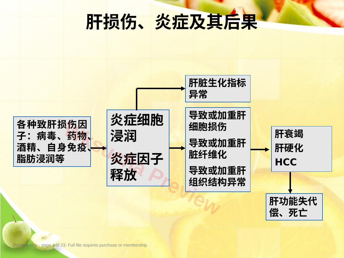 预览第 4 页