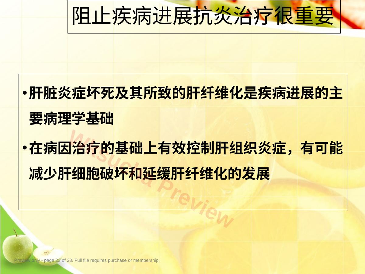 预览第 23 页