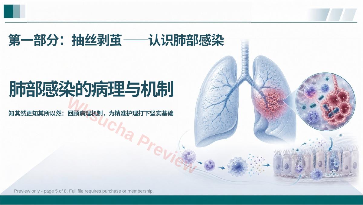 预览第 5 页