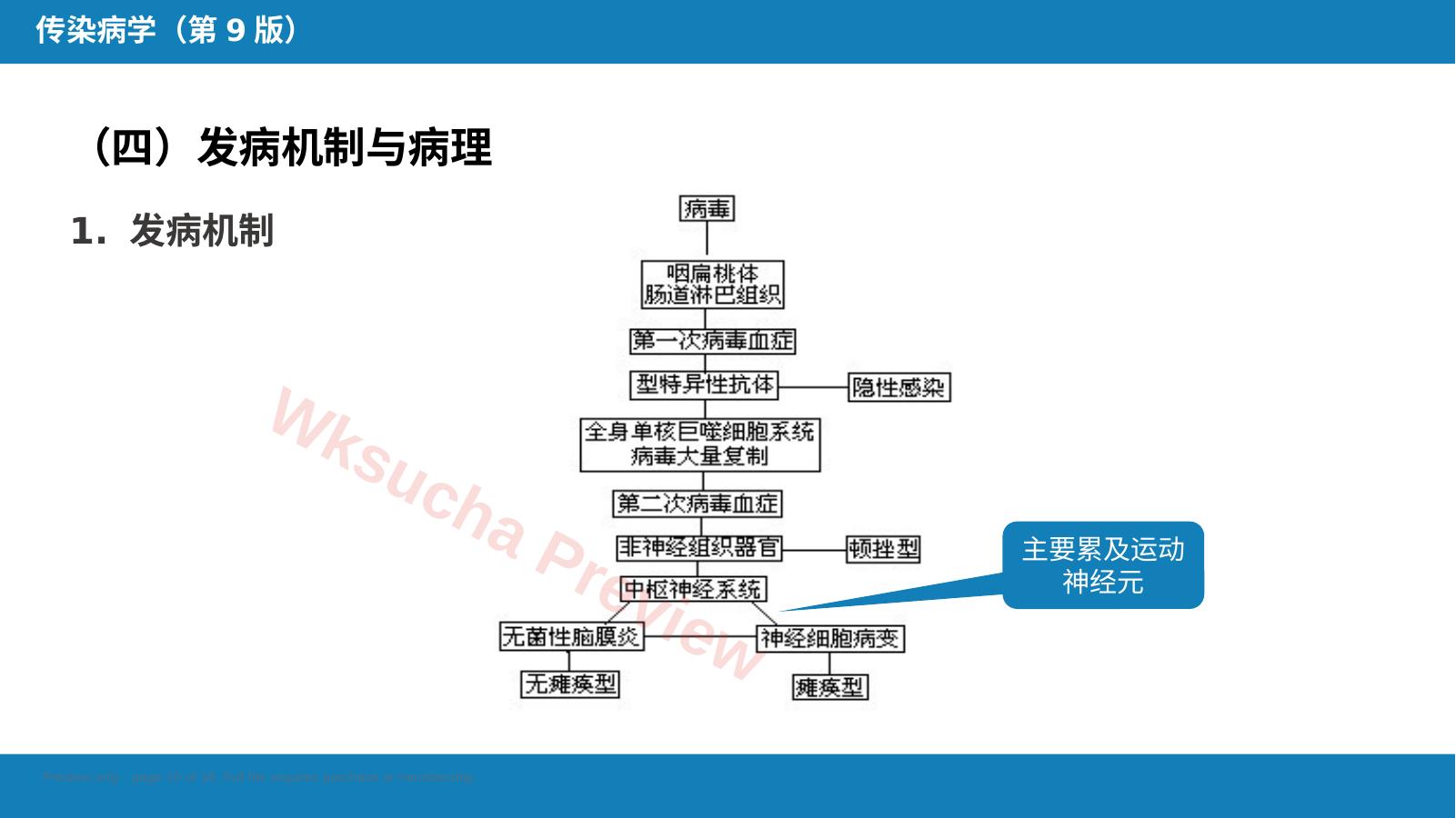 预览第 10 页