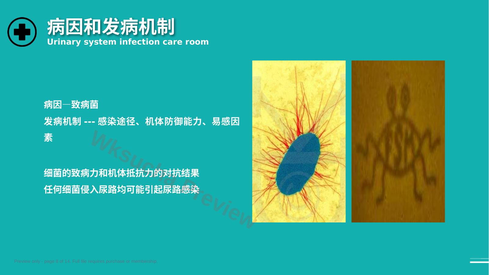 预览第 8 页