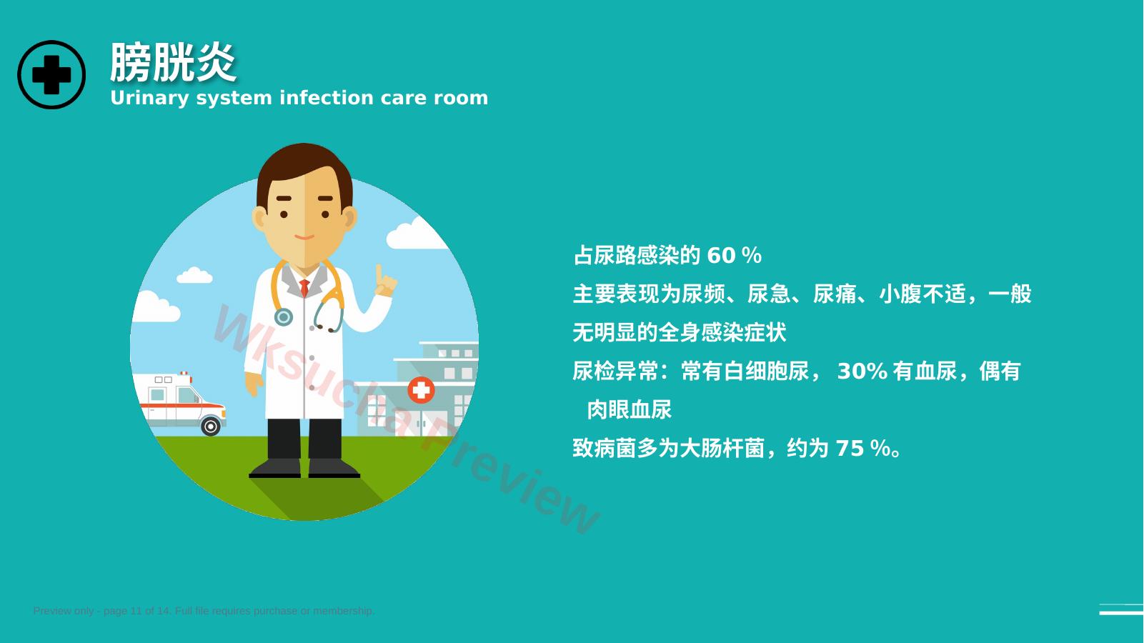 预览第 11 页