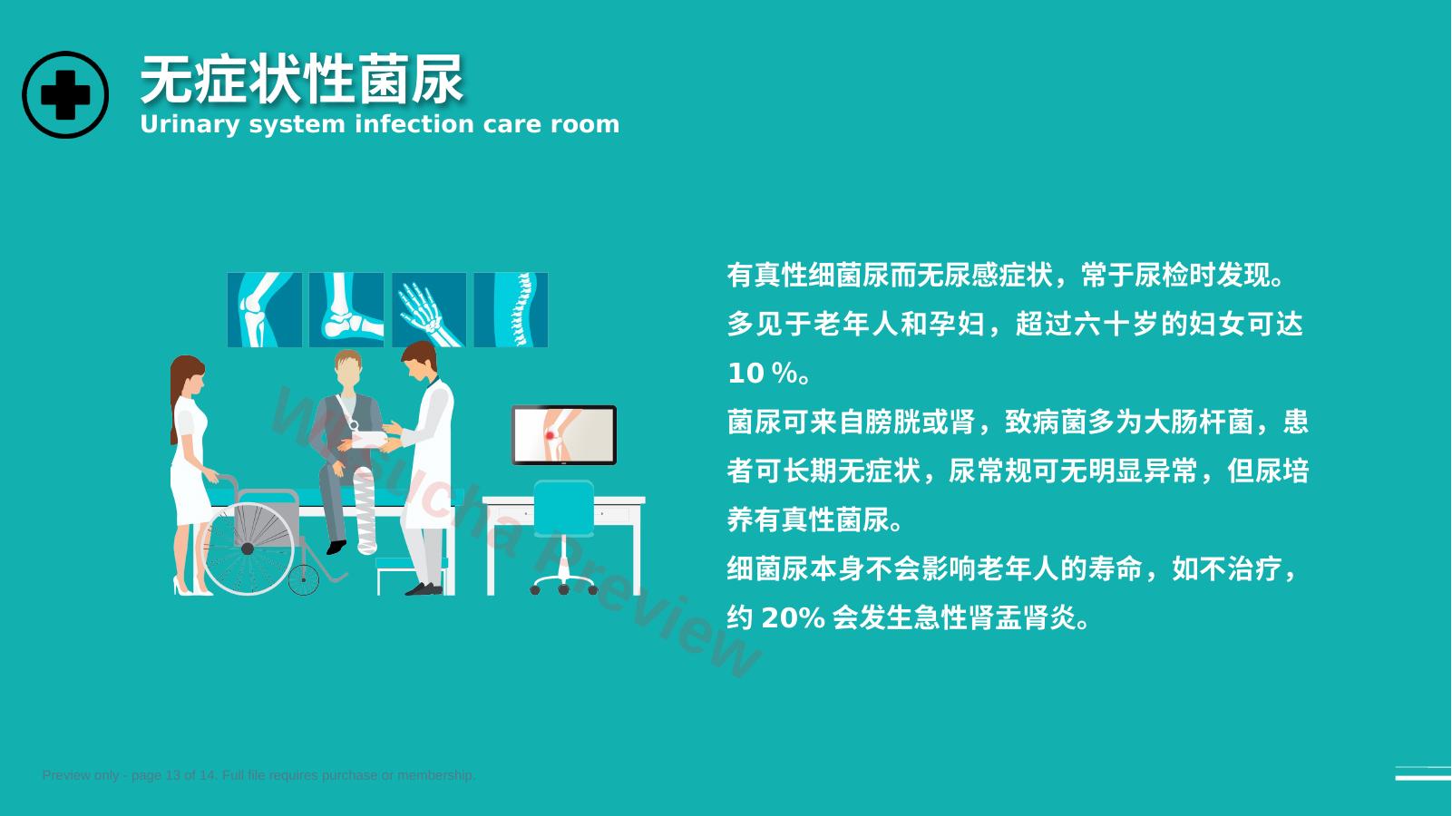 预览第 13 页