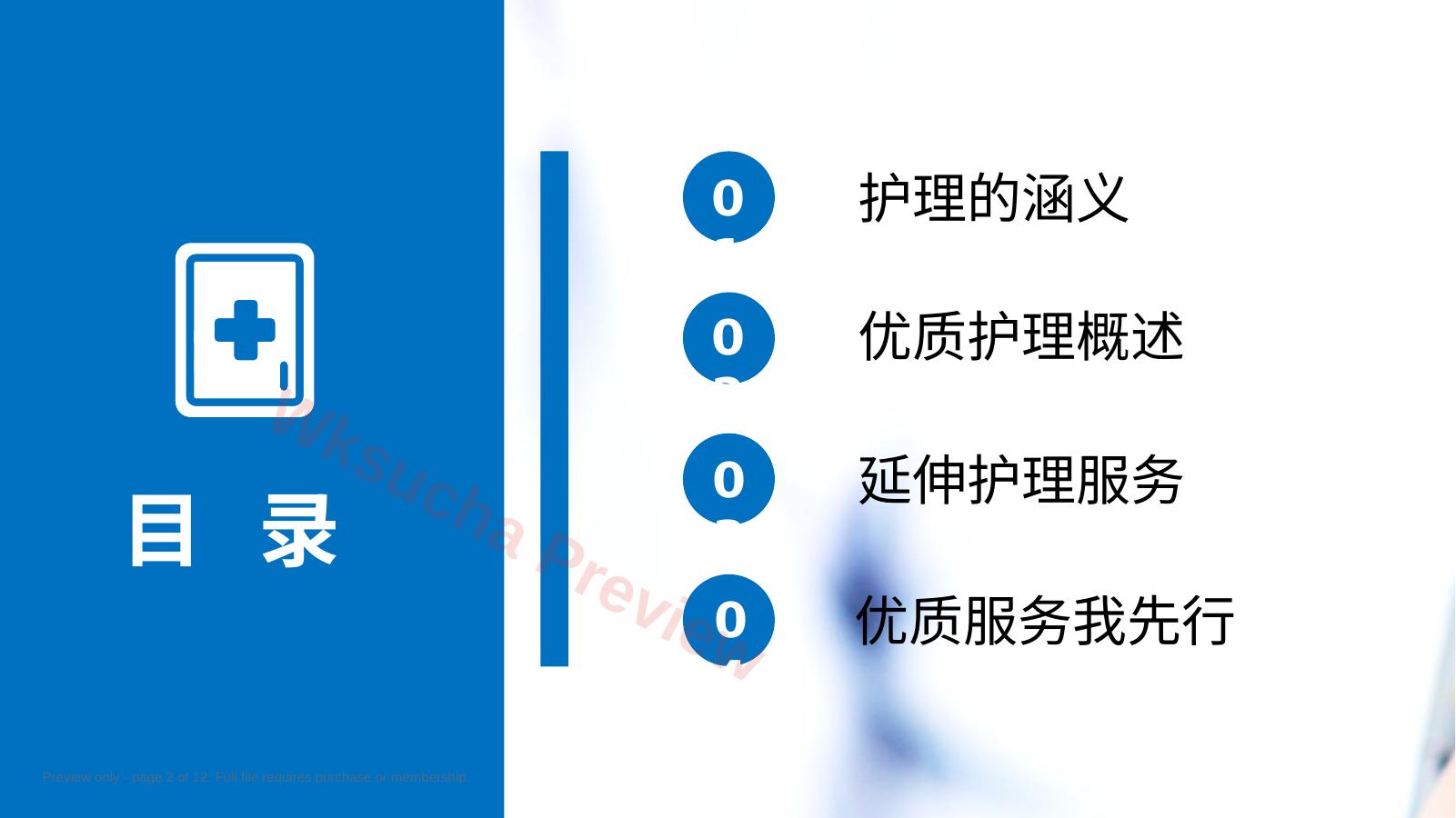 预览第 2 页