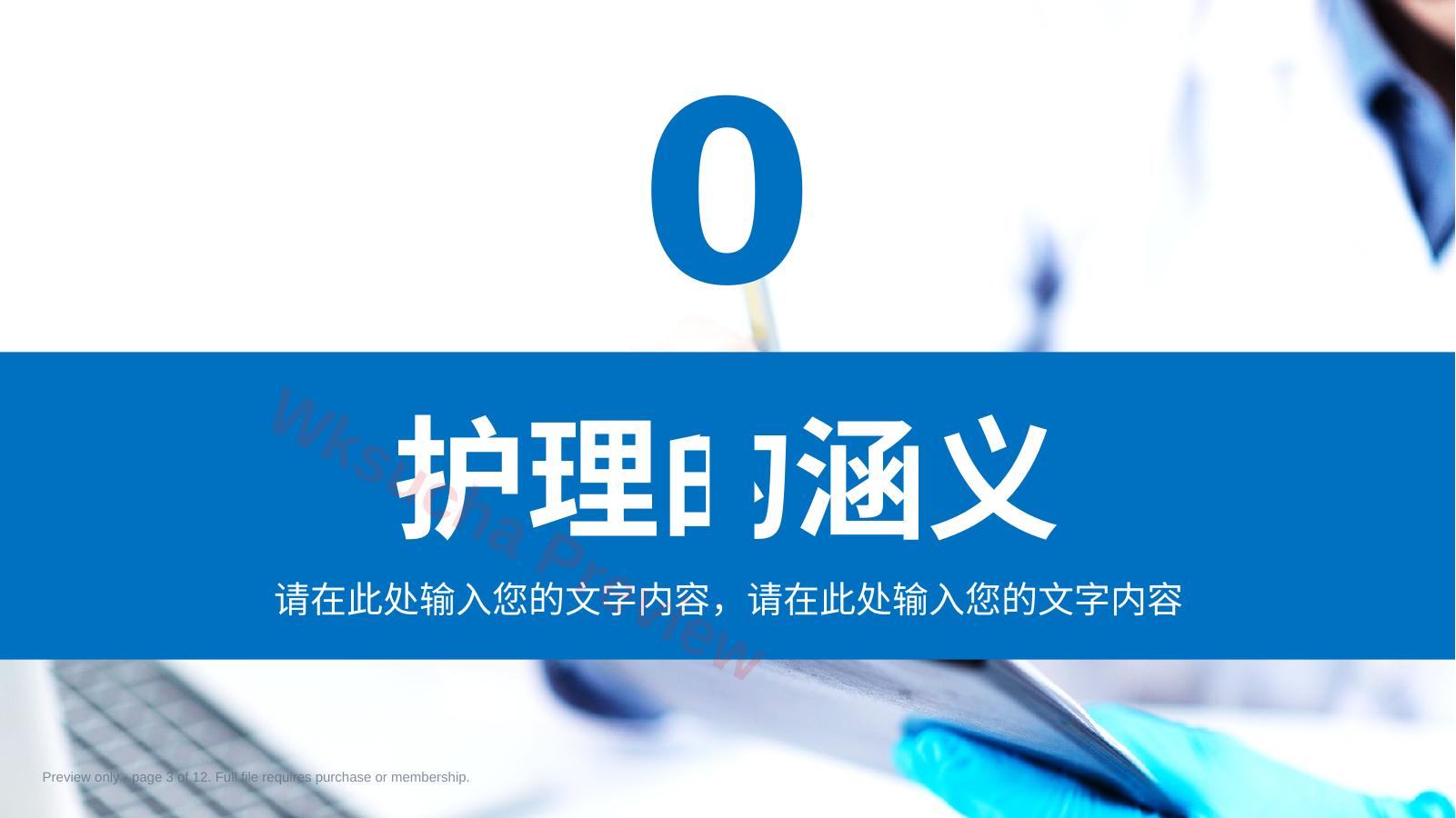 预览第 3 页