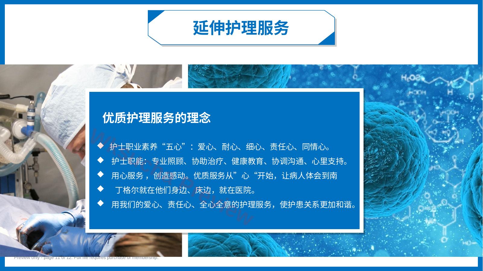 预览第 11 页