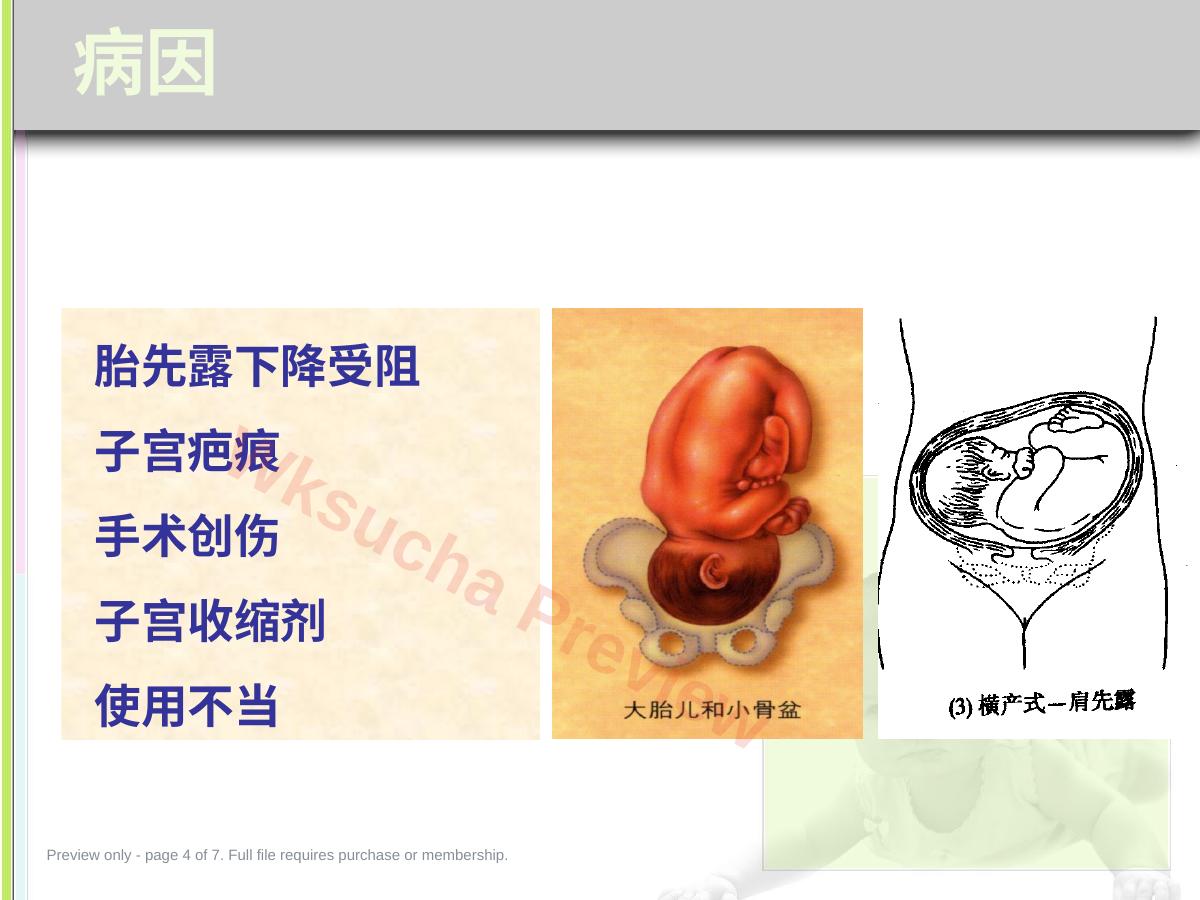 预览第 4 页