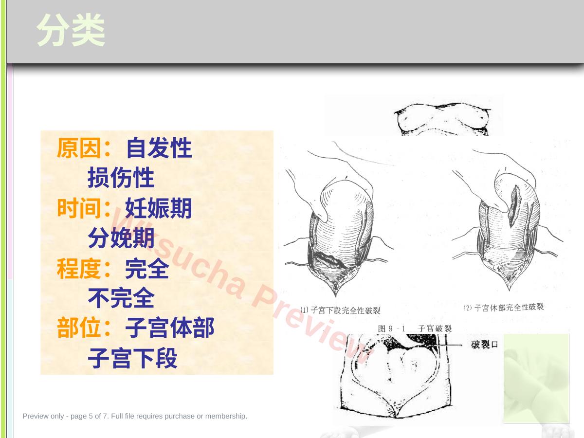 预览第 5 页