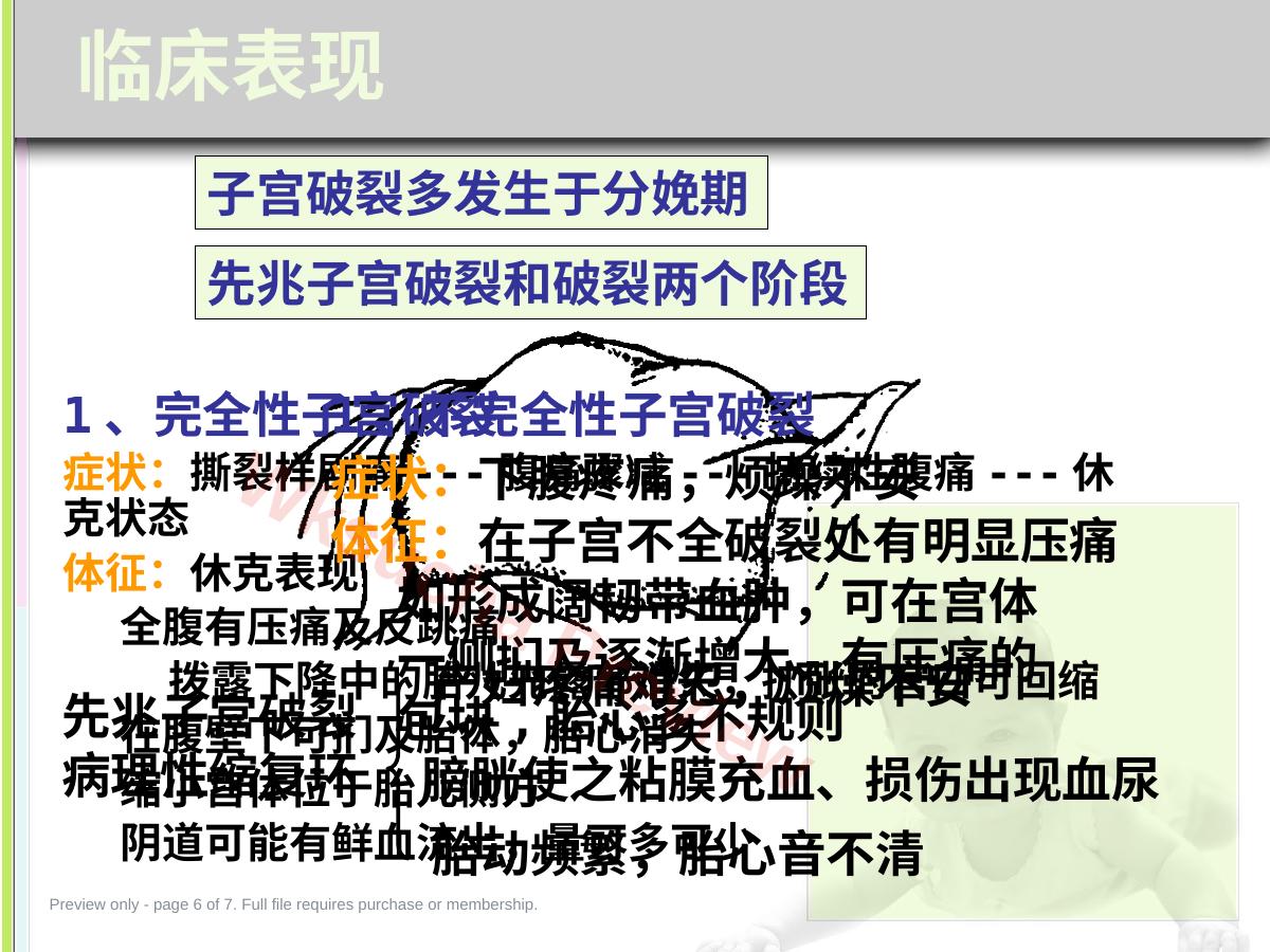 预览第 6 页