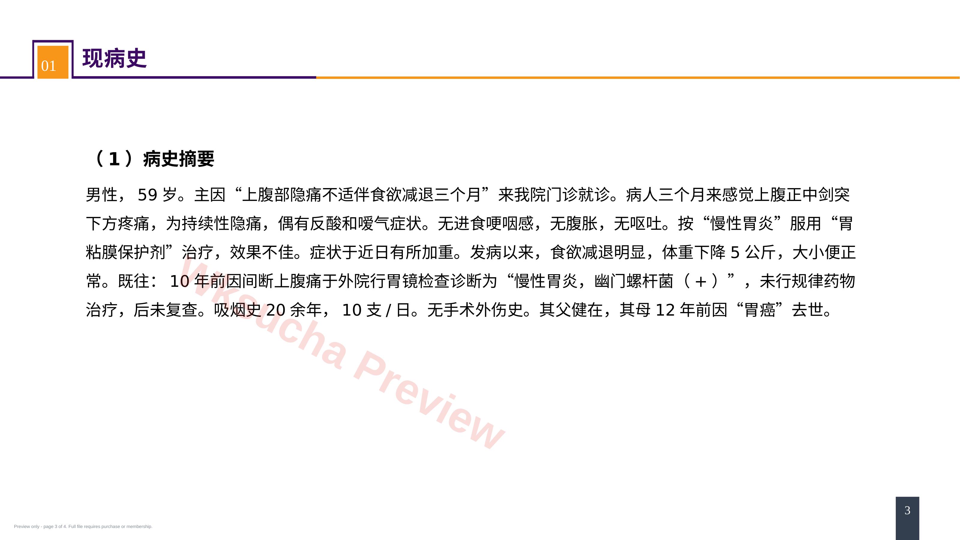 预览第 3 页