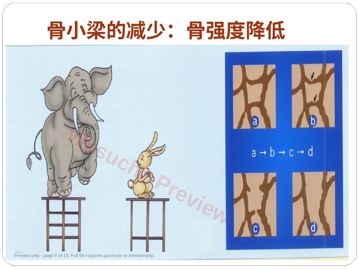 预览第 6 页