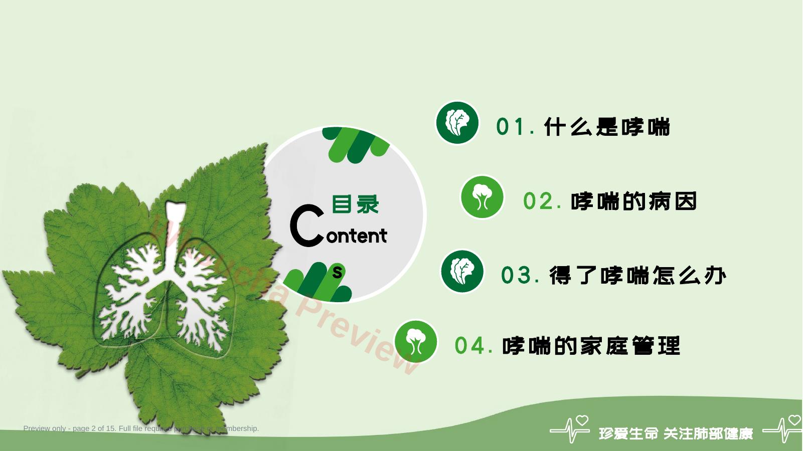 预览第 2 页