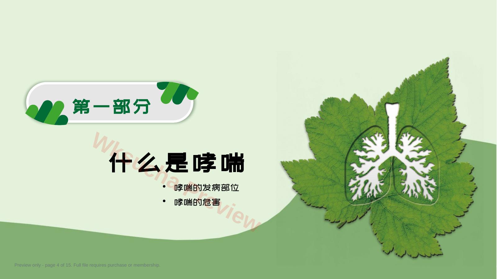 预览第 4 页