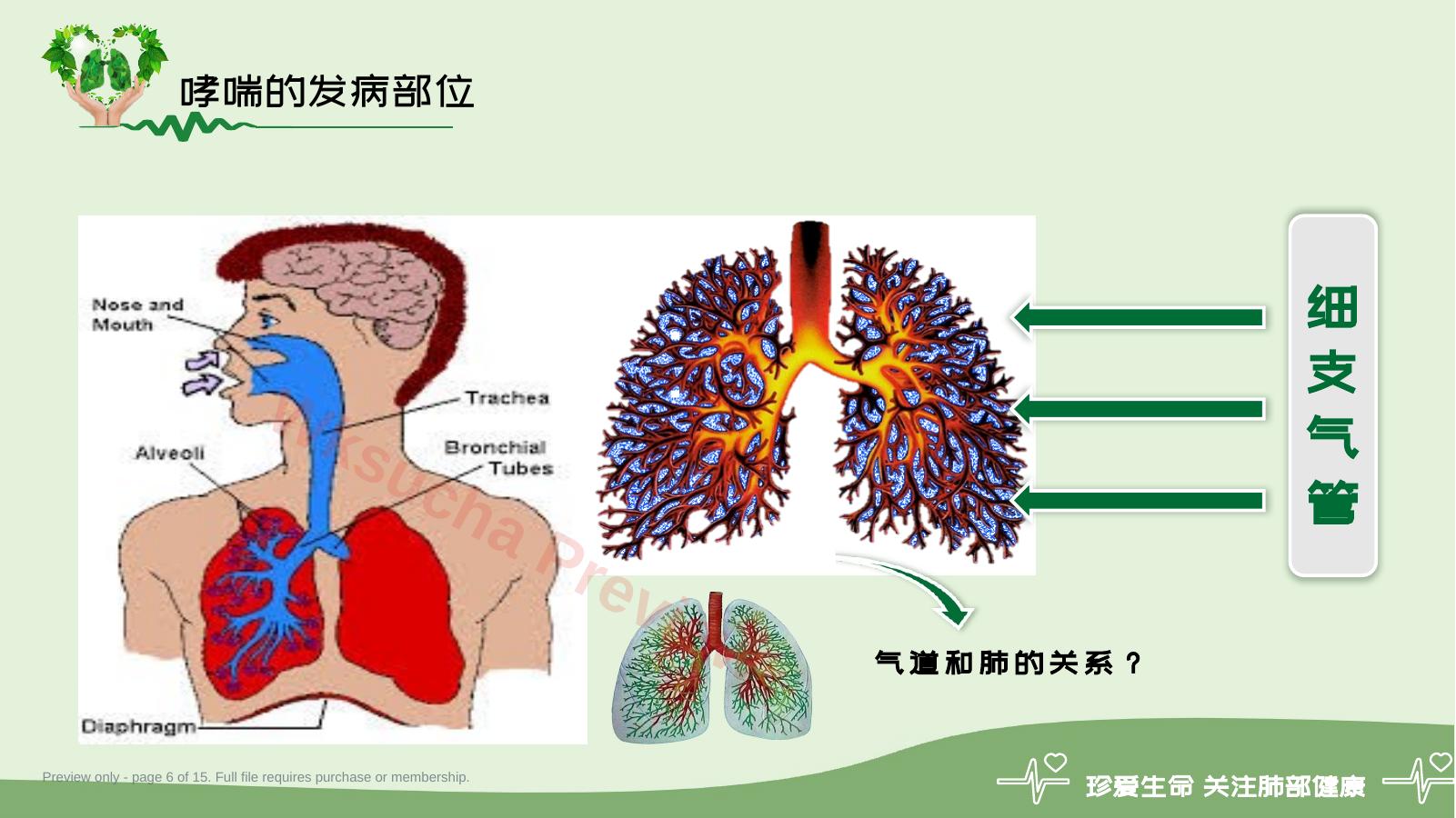 预览第 6 页