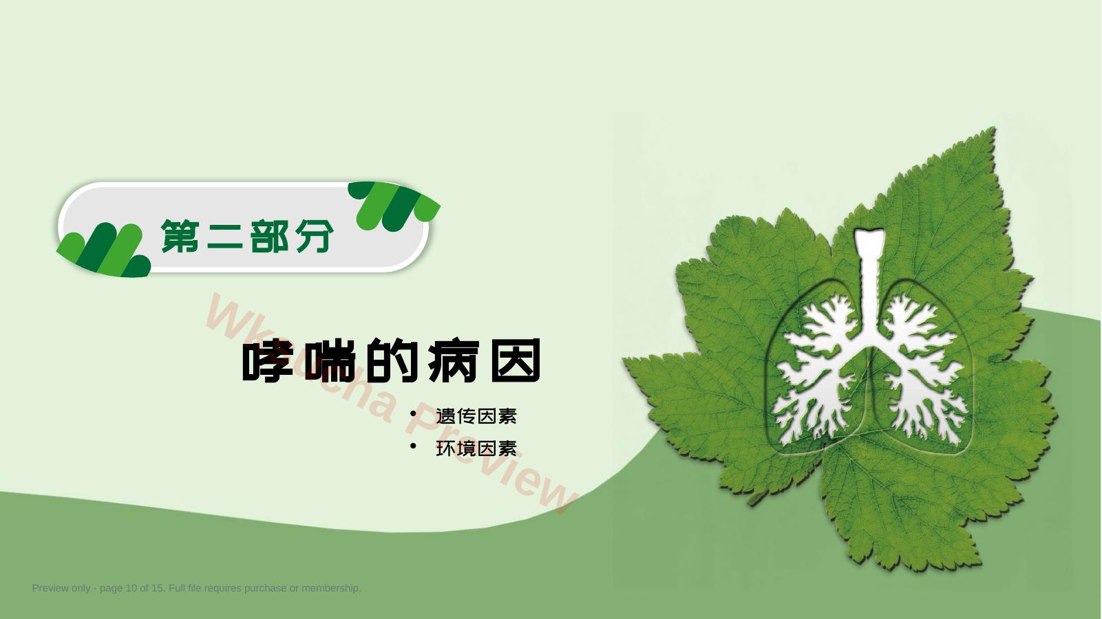 预览第 10 页