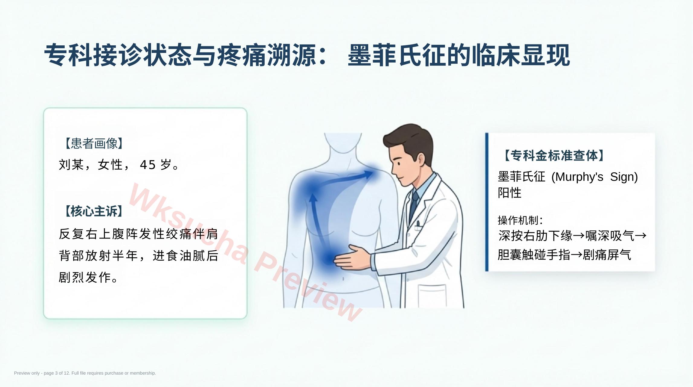 预览第 3 页
