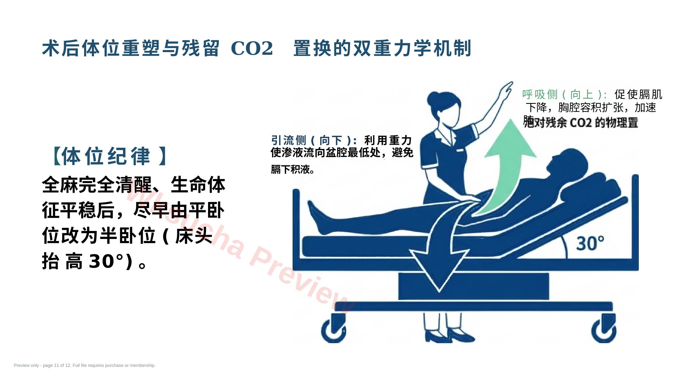 预览第 11 页