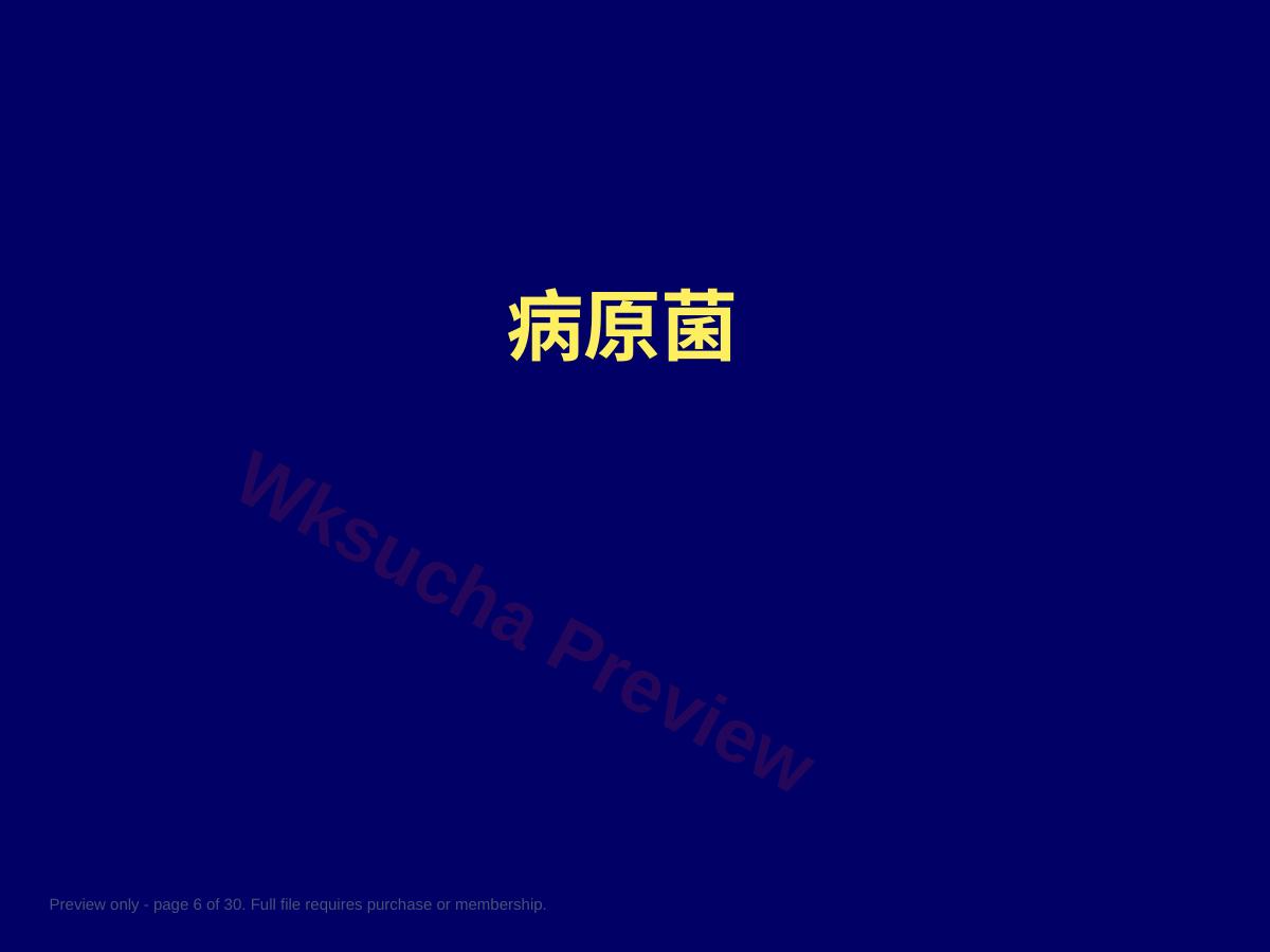 预览第 6 页