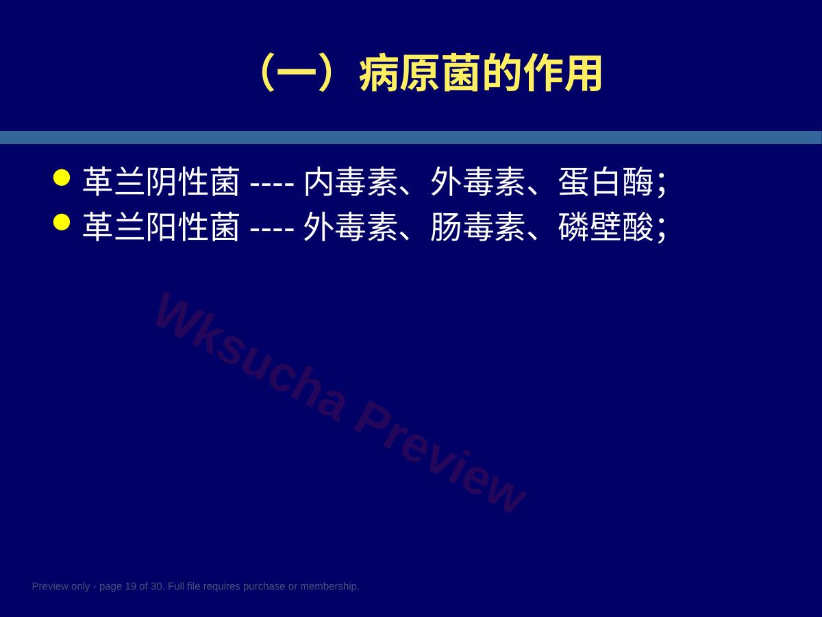 预览第 19 页