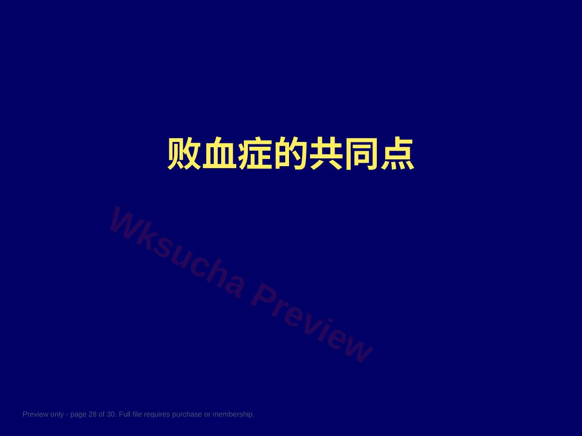 预览第 28 页