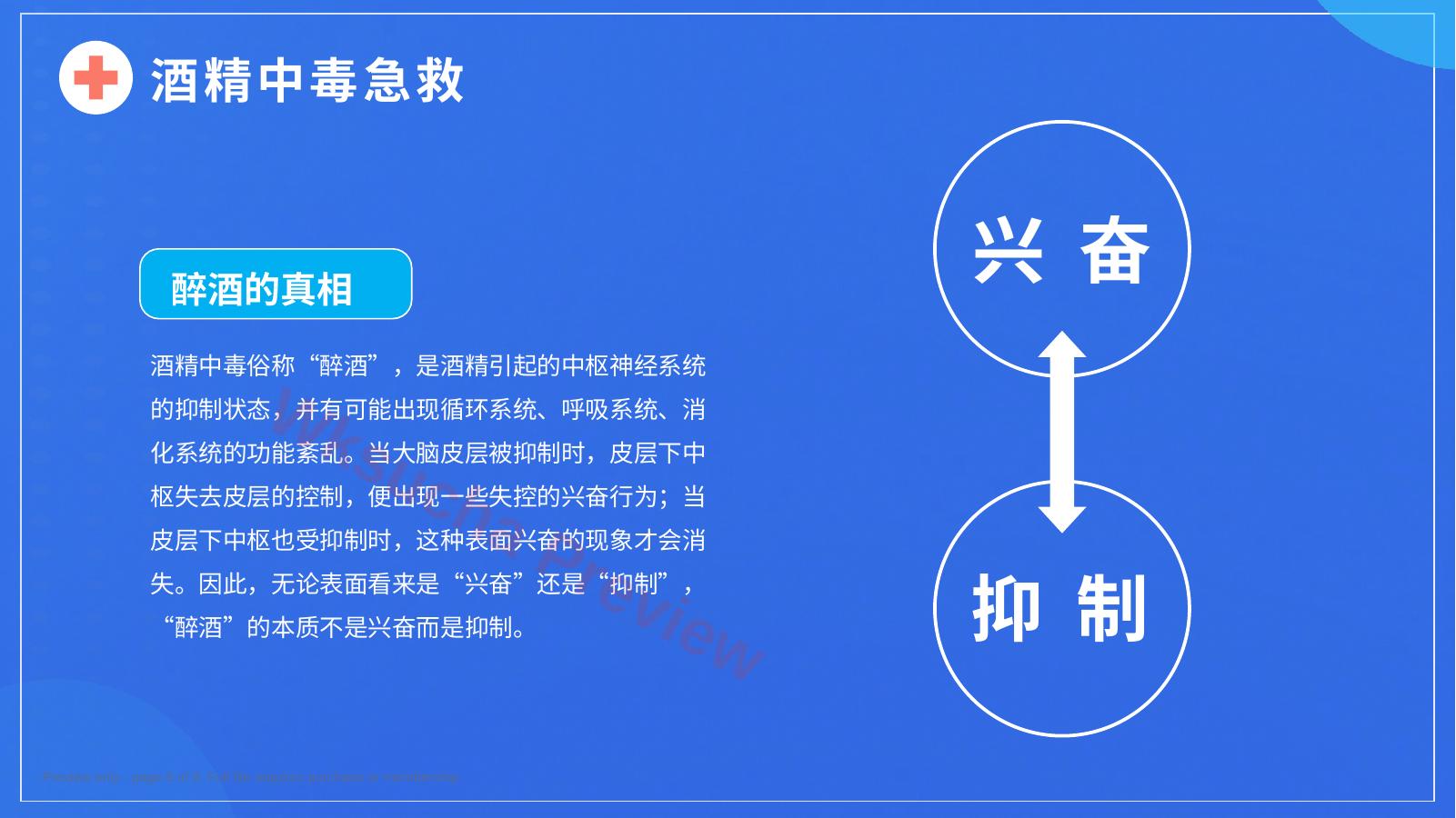 预览第 6 页