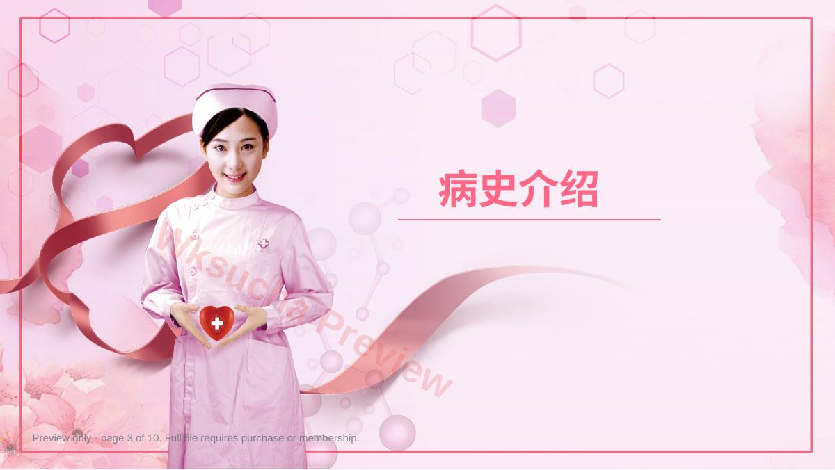 预览第 3 页