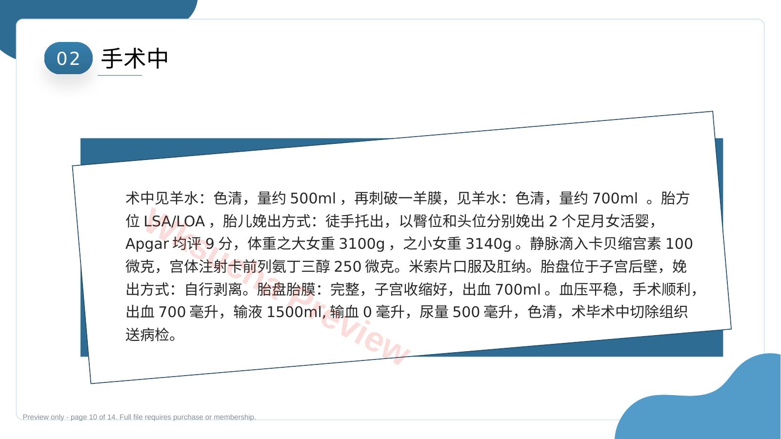 预览第 10 页
