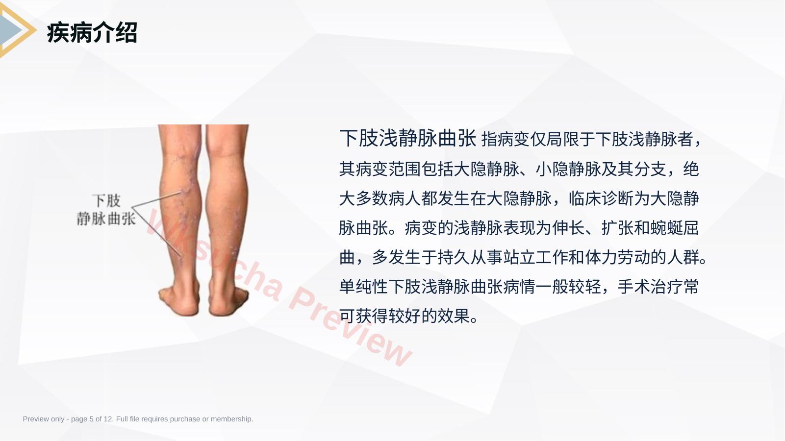 预览第 5 页