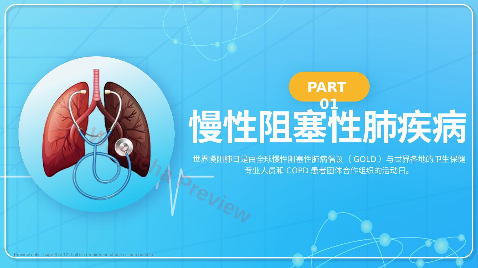 预览第 3 页