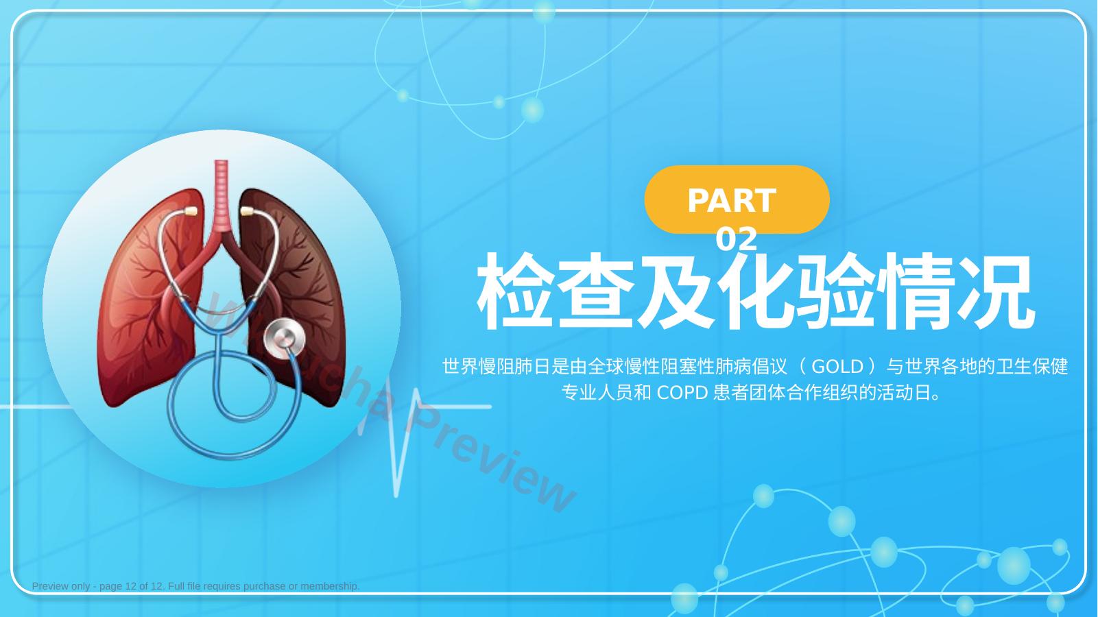 预览第 12 页