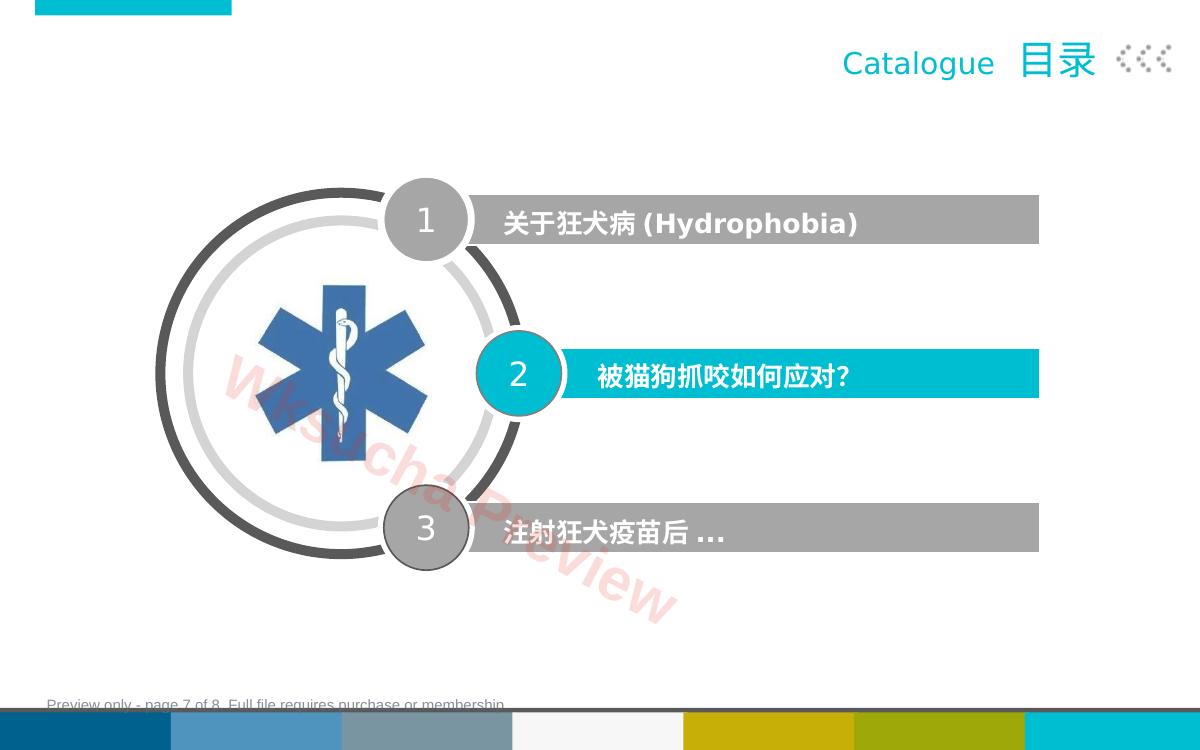 预览第 7 页