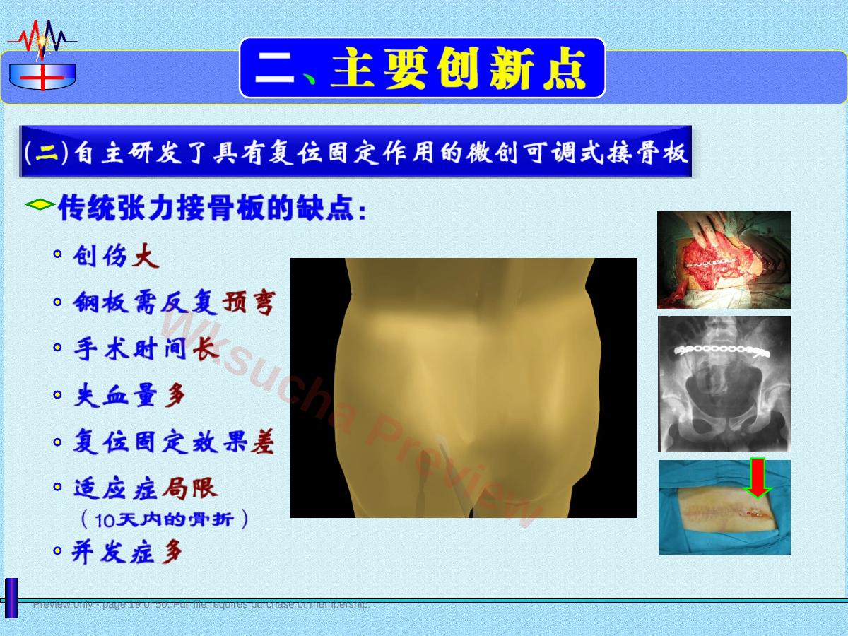 预览第 19 页