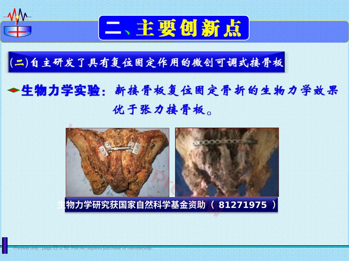 预览第 22 页