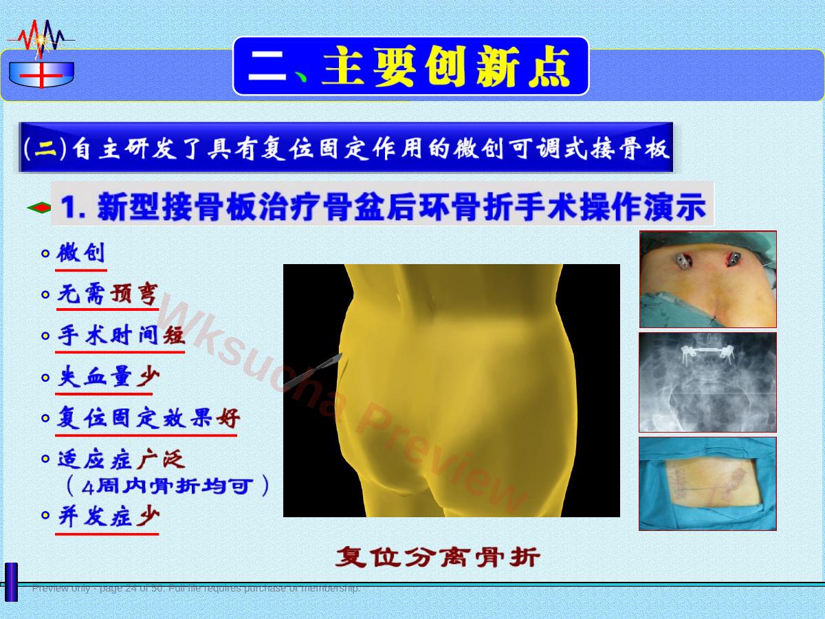 预览第 24 页