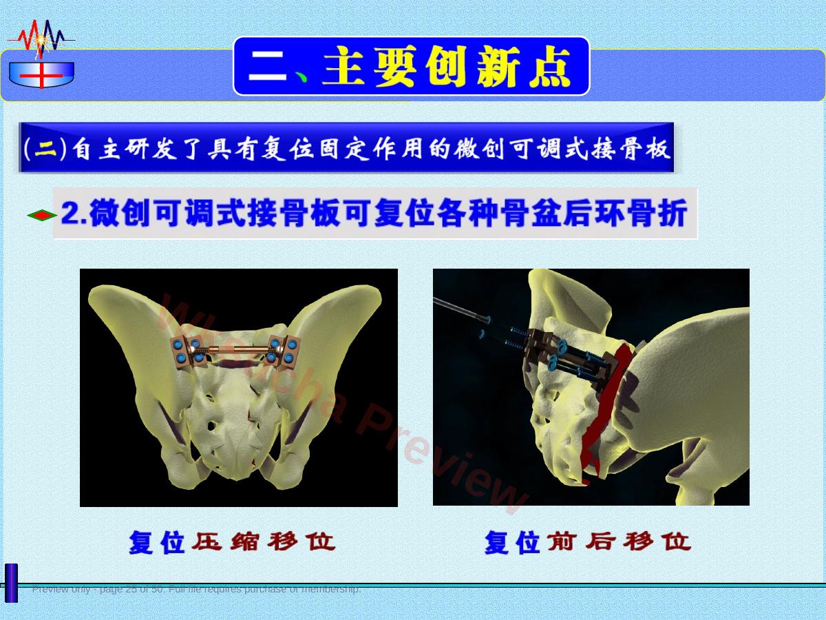 预览第 25 页