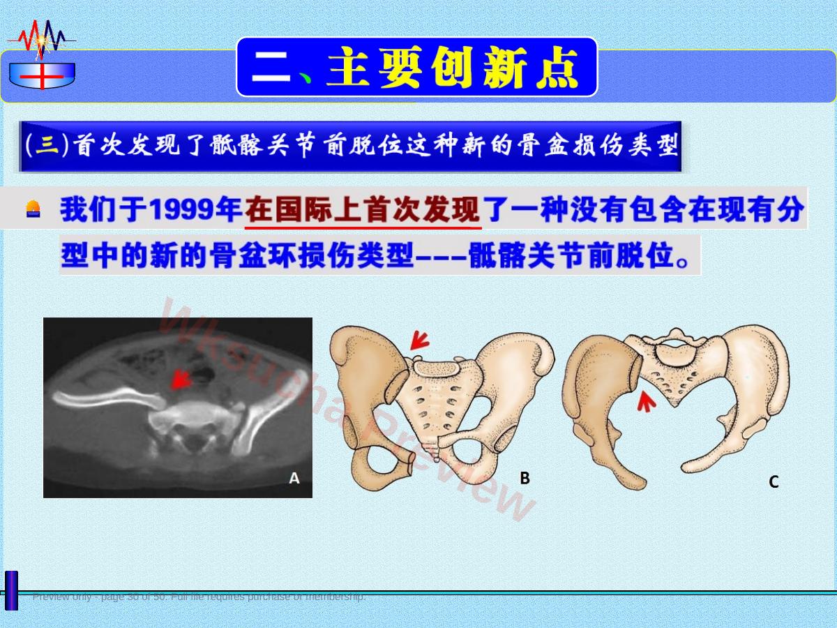 预览第 30 页