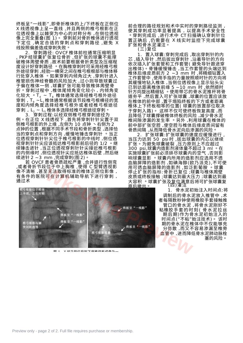 预览第 2 页