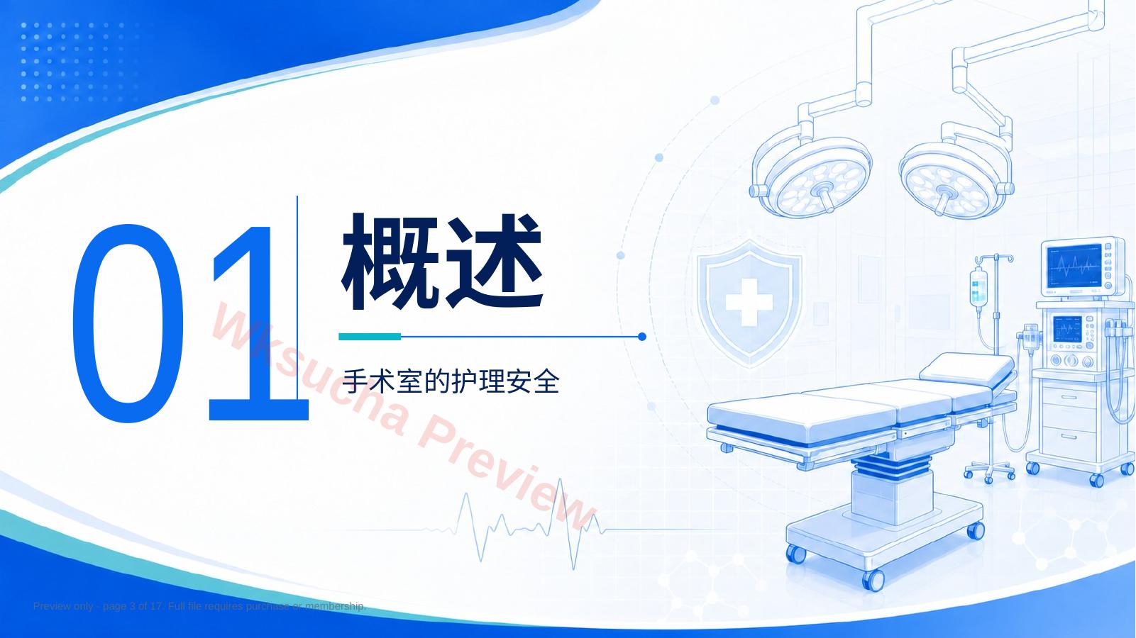 预览第 3 页