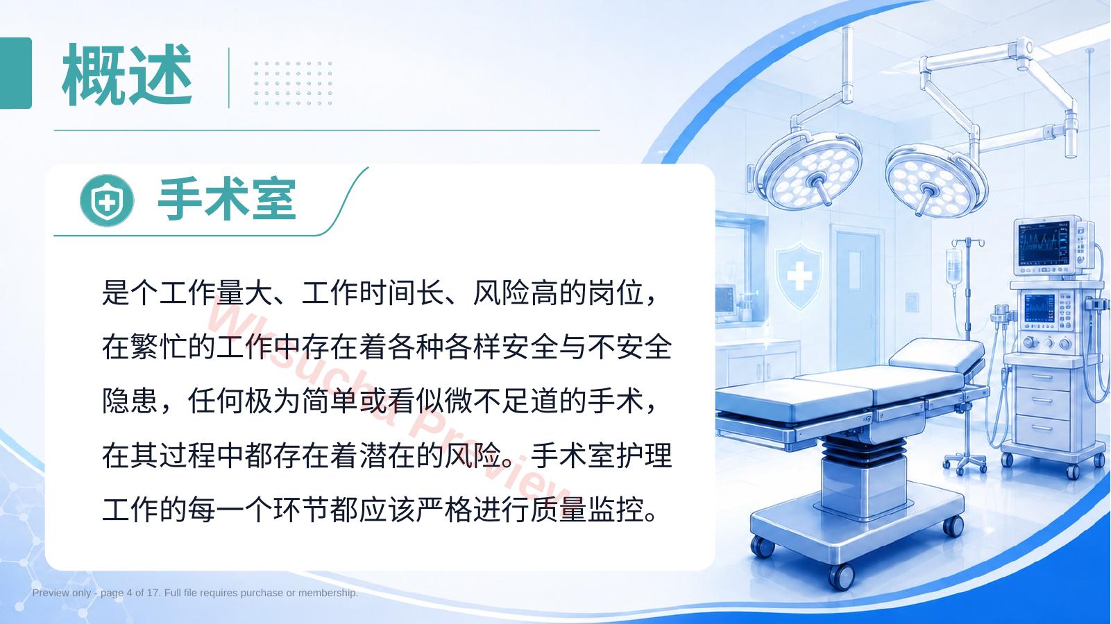 预览第 4 页