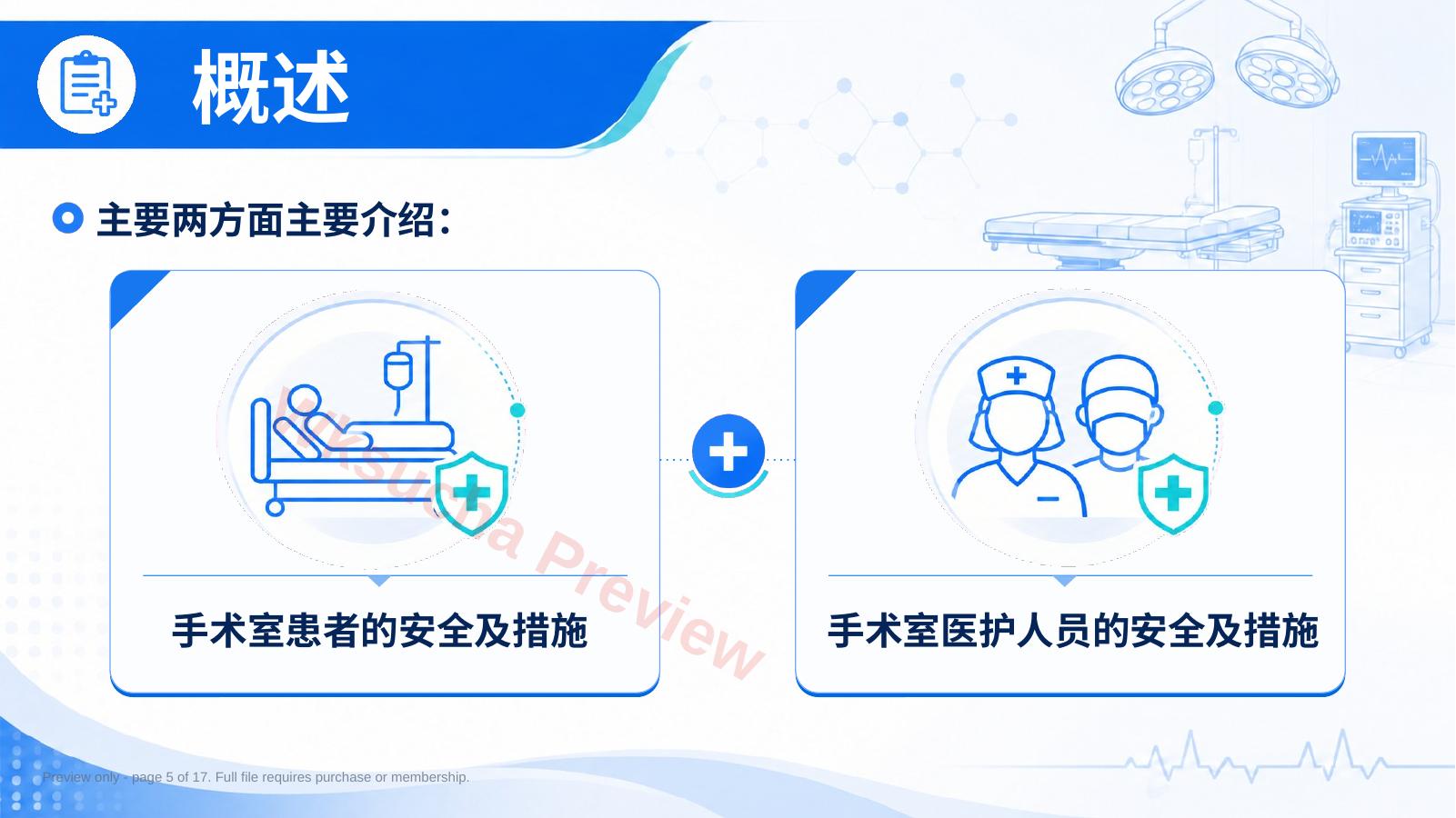 预览第 5 页