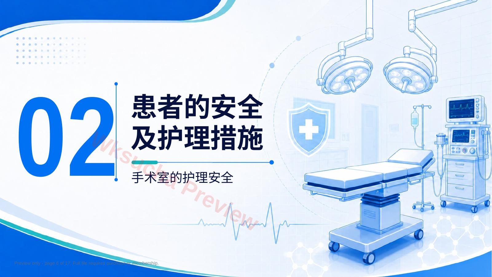 预览第 6 页